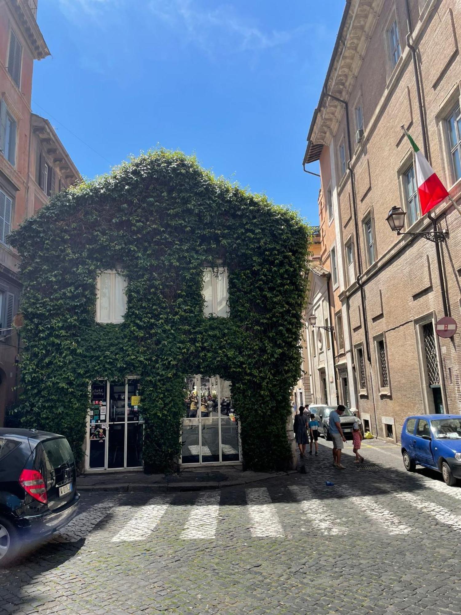 Design House Monti