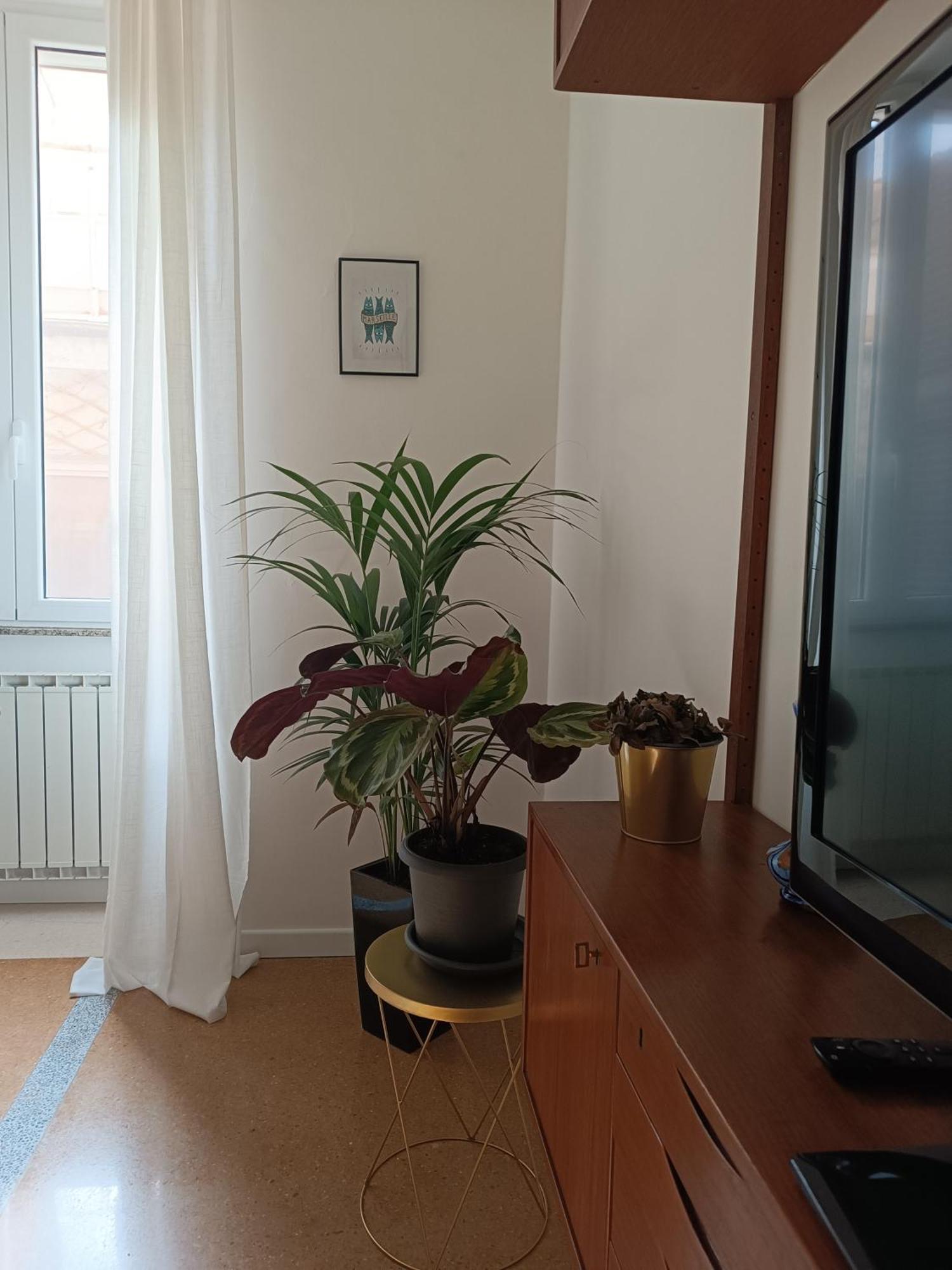 Apartment Design House Monti Rom